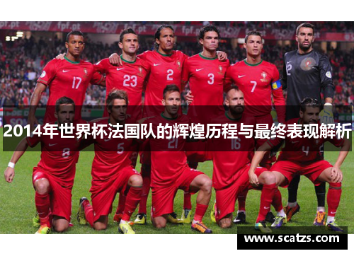 2014年世界杯法国队的辉煌历程与最终表现解析