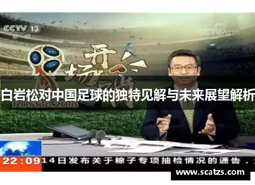 白岩松对中国足球的独特见解与未来展望解析