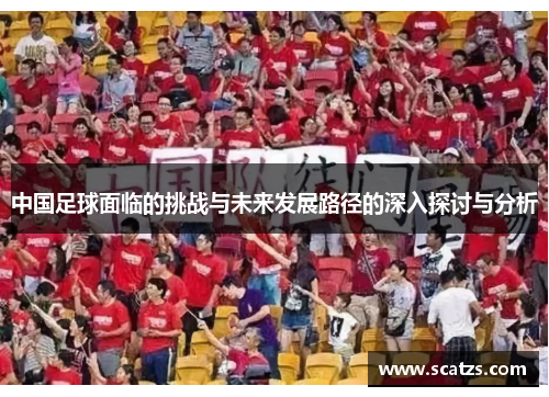 中国足球面临的挑战与未来发展路径的深入探讨与分析