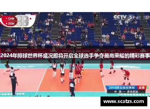 2024年排球世界杯盛况即将开启全球选手争夺最高荣耀的精彩赛事