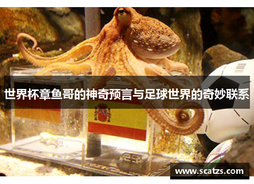 世界杯章鱼哥的神奇预言与足球世界的奇妙联系