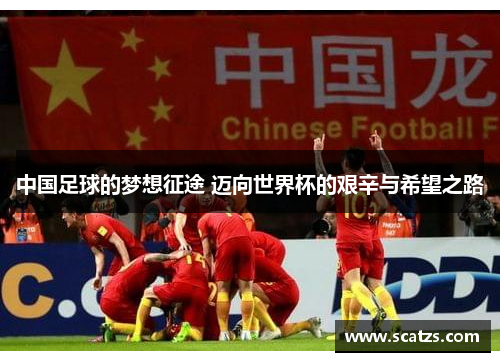 中国足球的梦想征途 迈向世界杯的艰辛与希望之路