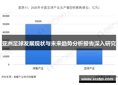 亚洲足球发展现状与未来趋势分析报告深入研究