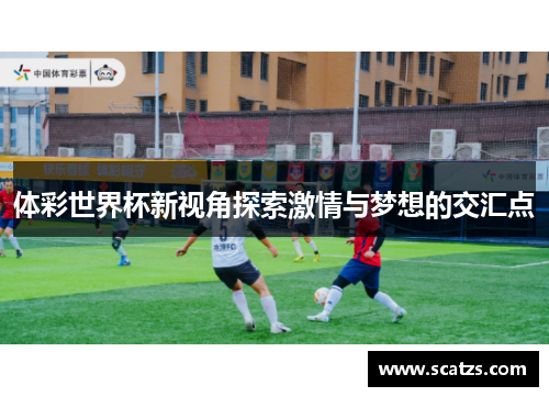 体彩世界杯新视角探索激情与梦想的交汇点